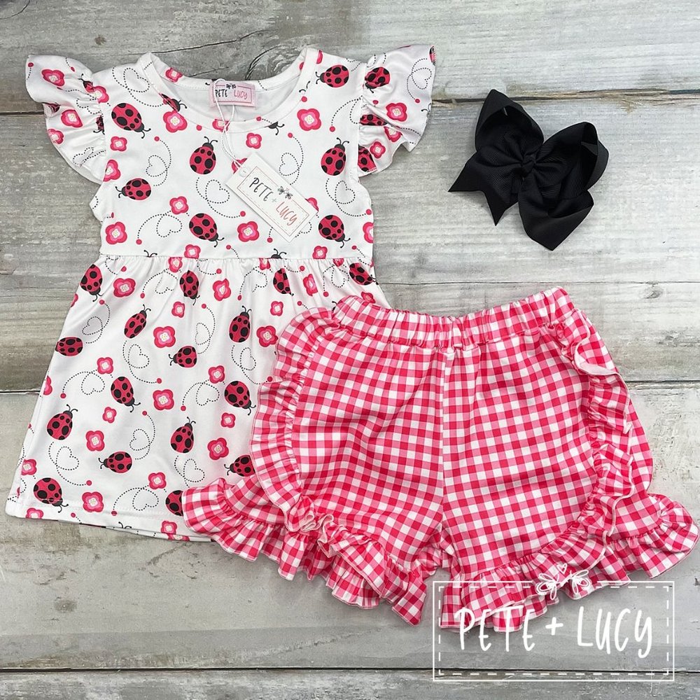 Lovely Lady Bugs Set